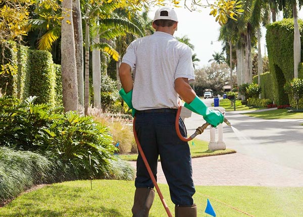 About Lillie LA Pest Control